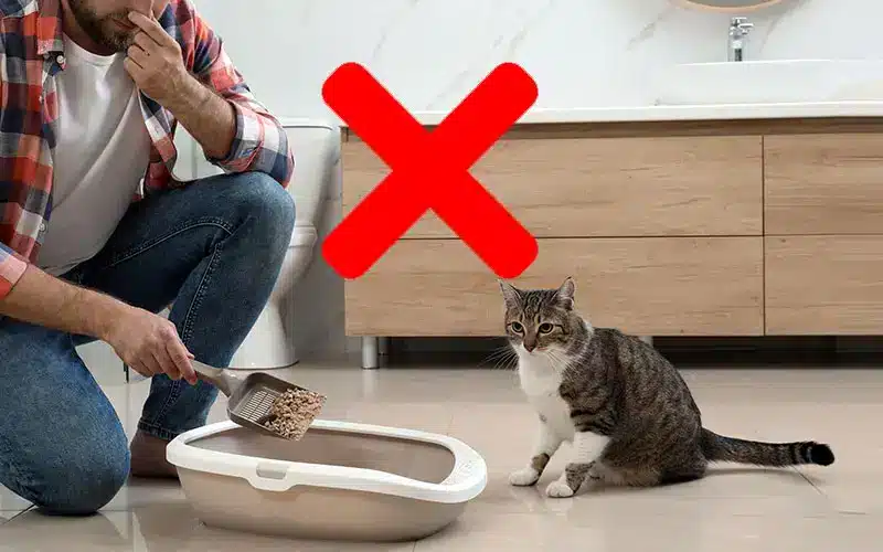 ازالة الروائح الكريهة من الصناديق