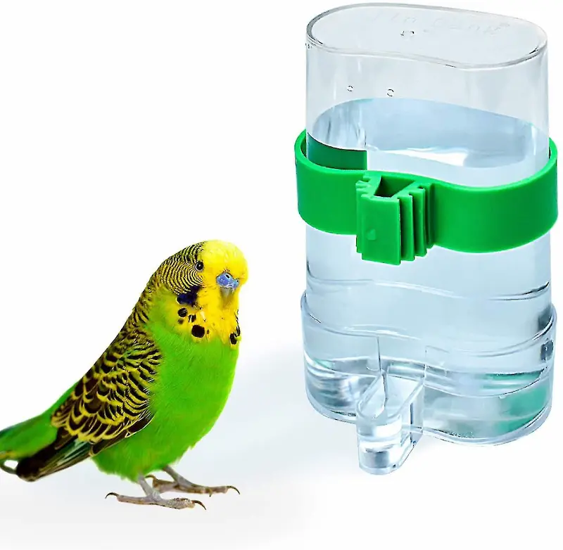 مستلزمات الطيور