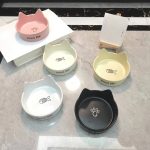 Ceramic food bowl for cats.