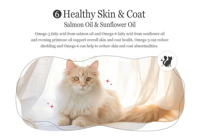 ⁦ناتشورال كيتي طعام جاف للقطط السمك مع السلمون 1.8 جج⁩ - الصورة ⁦2⁩