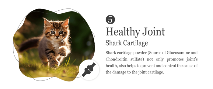 ⁦ناتشورال كيتي طعام جاف للقطط السمك مع السلمون 1.8 جج⁩ - الصورة ⁦3⁩