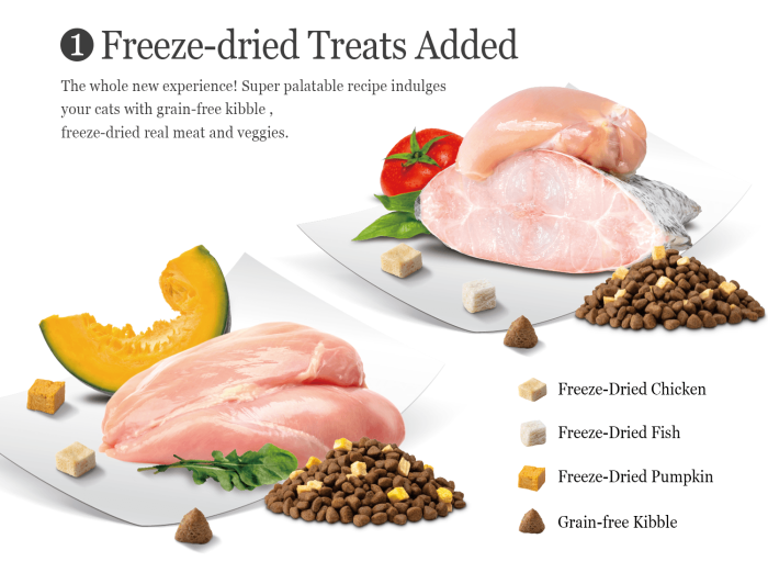 ⁦ناتشورال كيتي طعام جاف للقطط السمك مع السلمون 1.8 جج⁩ - الصورة ⁦6⁩