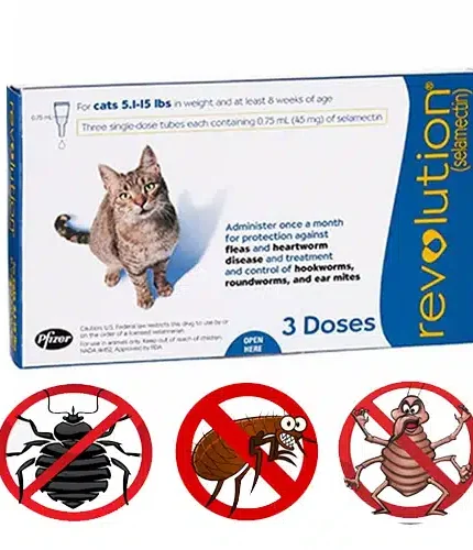 أمبولات للقضاء على القمل والطفيليات للقطط البالغة – ريفليوشن Revolution (امبولة)