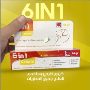 العناية الطبية للكلاب