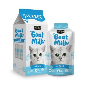 حليب القطط الصغيرة