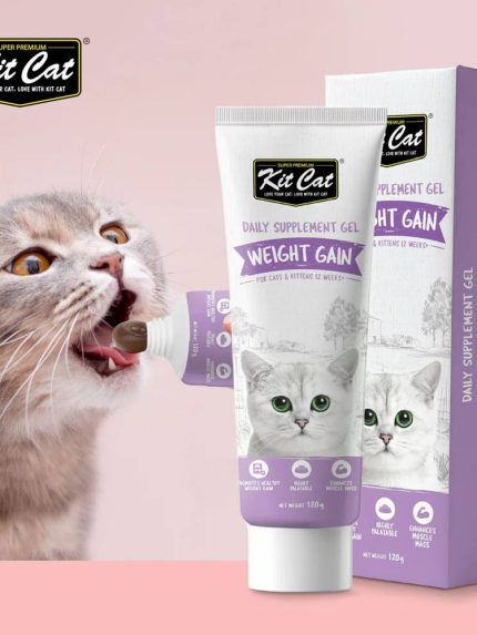 جل كت كات لزيادة الوزن للقطط والكيتنز (120غ) | مكمل غذائي عالي السعرات