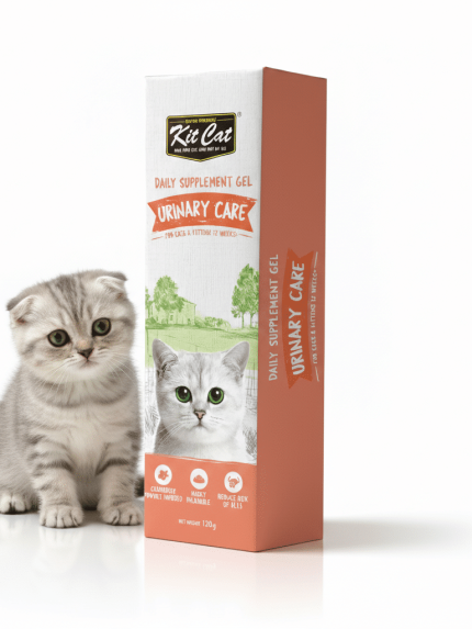 جل كت كات اليومي لدعم المسالك البولية للقطط (120غ) | مكمل غذائي للحماية