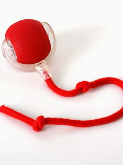 لعبة الكرة الكهربائية المتحركة للقطط