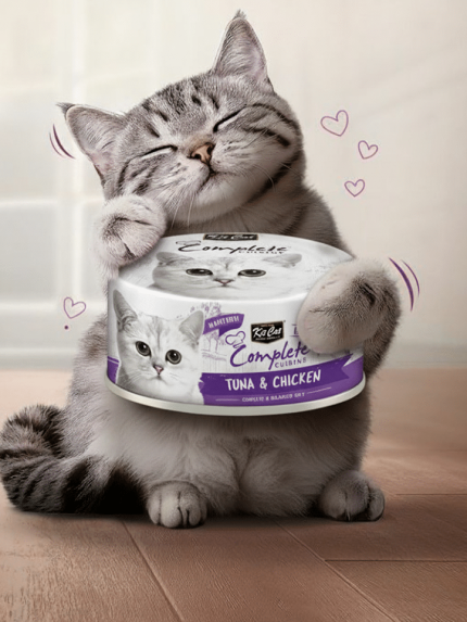 كيت كات كومبليت كوزين طعام قطط رطب تونة ودجاج في المرق 70 جم