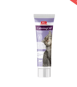 فيتامينات ومكملات غذائية للقطط