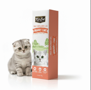 فيتامينات ومكملات غذائية للقطط