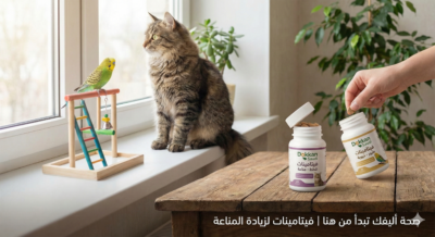 فيتامينات القطط 