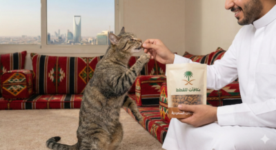 مكافأت للقطط 