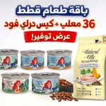 ناتشورال كيتي