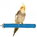 مجثم الكالسيوم الصحي للطيور الصغيرة 20 سم