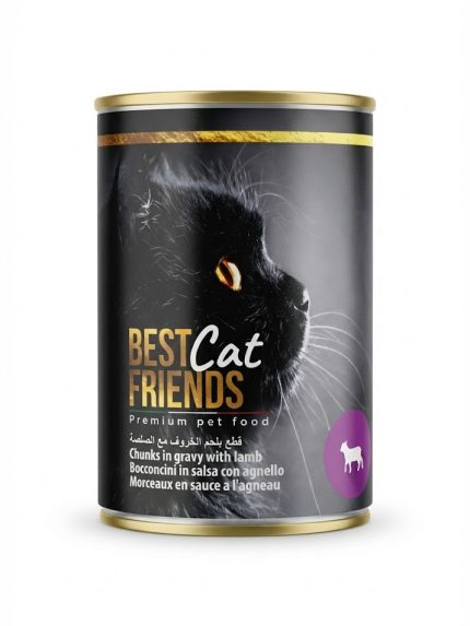 بيست فريندز طعام رطب للقطط قطع لحم الخروف مع الصلصة 415 جرام