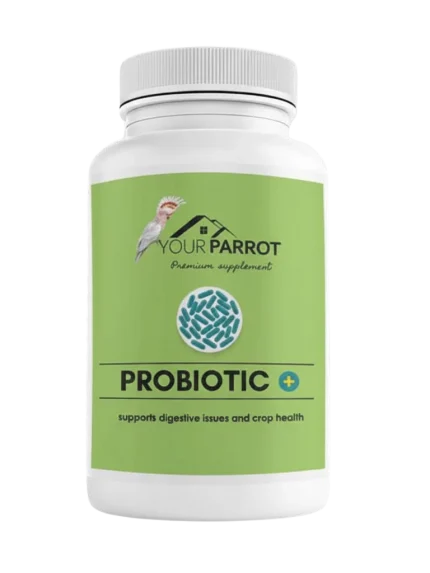 يور باروت (Your Parrot) بروبايوتك: الدرع الواقي لأمعاء طائرك وامتصاص أفضل للغذاء - 500g