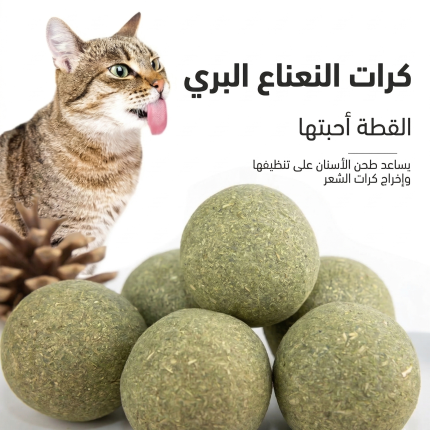 كات نيب للقطط 5 كور