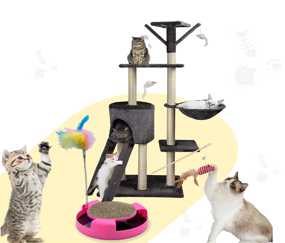 خدشات القطط