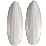 عظم الحبار للطيور (حبار) لتقوية المنقار والبيض